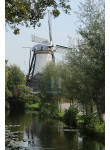 Benthuizen - Molen De Haas 02