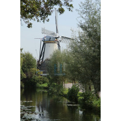 Benthuizen - Molen De Haas 02