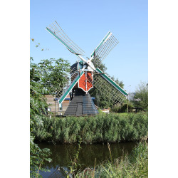 Leiden - De Kikkermolen 02