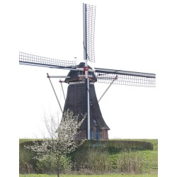 Waardenburg - Korenmolen 02