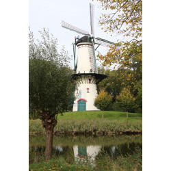 Tholen - Korenmolen De Hoop 01