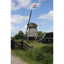 Alkmaar - Robonsbosmolen 02