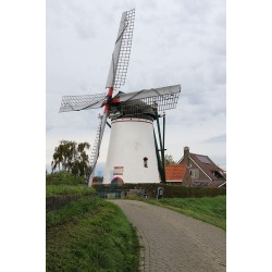 Stavenisse - Stavenisser molen 02