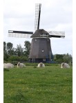 Alkmaar - Viaanse Molen 02