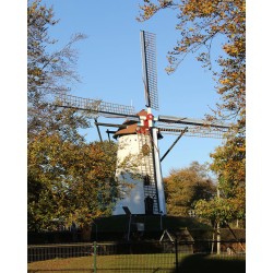 Goirle - De Wilde 01