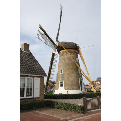 Zoutelande - Zoutelandse Molen 02